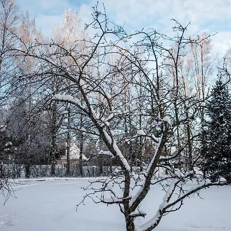 Casa de Férias Family