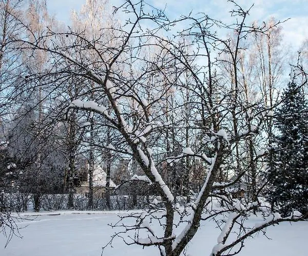 Дом отдыха Family